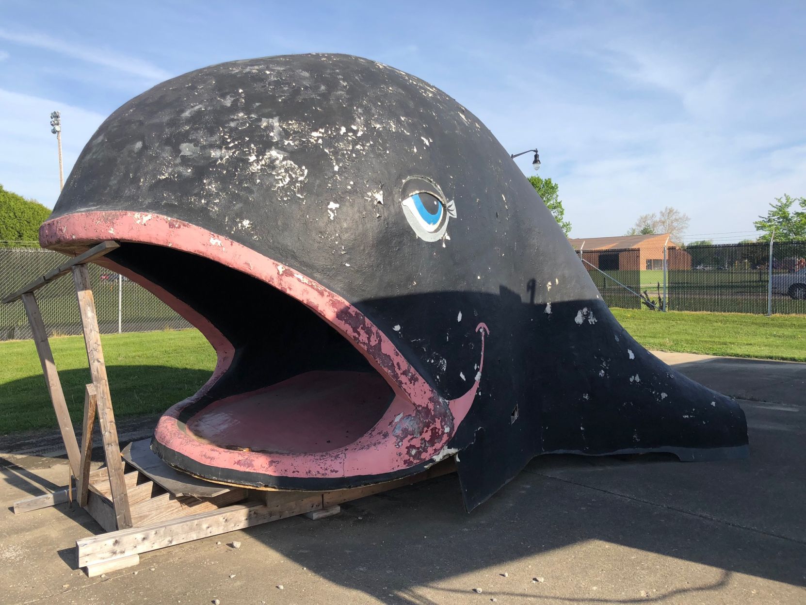 Willie the Whale photo from city